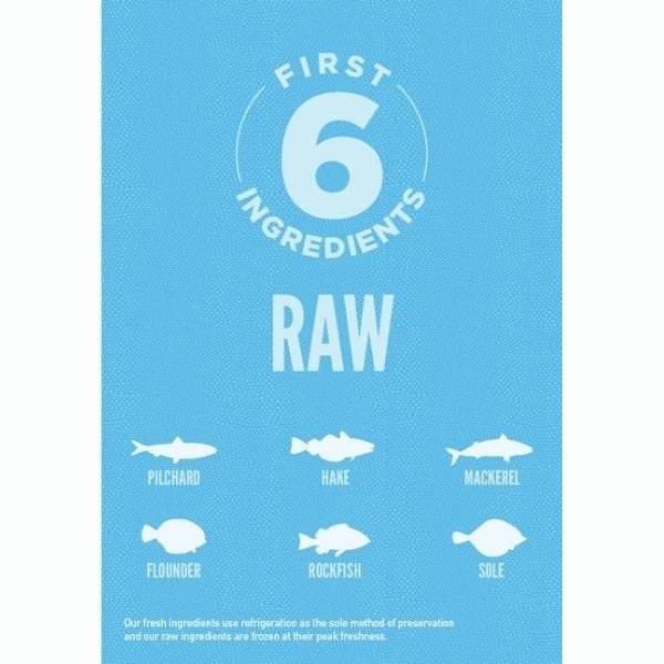 Orijen Six Fish Cat