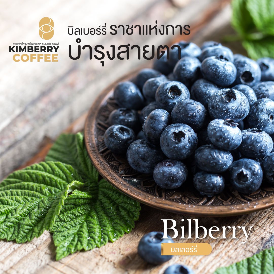 บิลเบอร์รี่ ราชาแห่งการบำรุงสายตา KIMBERRY COFFEE กาแฟสำเร็จรูป บำรุงสายตา หอม กลมกล่อม สุขภาพดี คิมเบอร์รี่คอฟฟี่