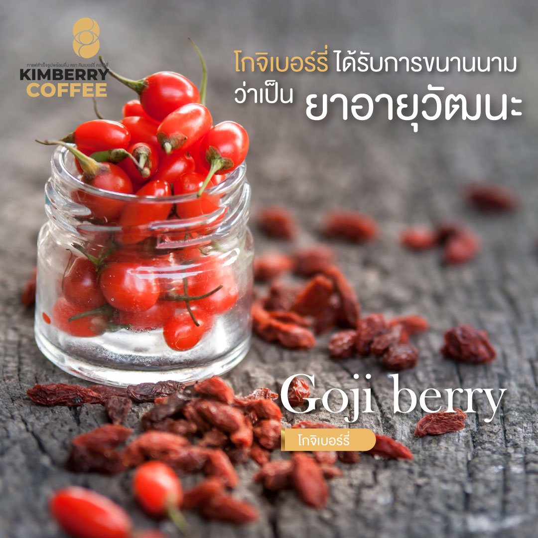 โกจิเบอร์รี่ ได้รับการขนานนามว่าเป็น ยาอายุวัฒนะ KIMBERRY COFFEE กาแฟสำเร็จรูป บำรุงสายตา หอม กลมกล่อม สุขภาพดี คิมเบอร์รี่คอฟฟี่