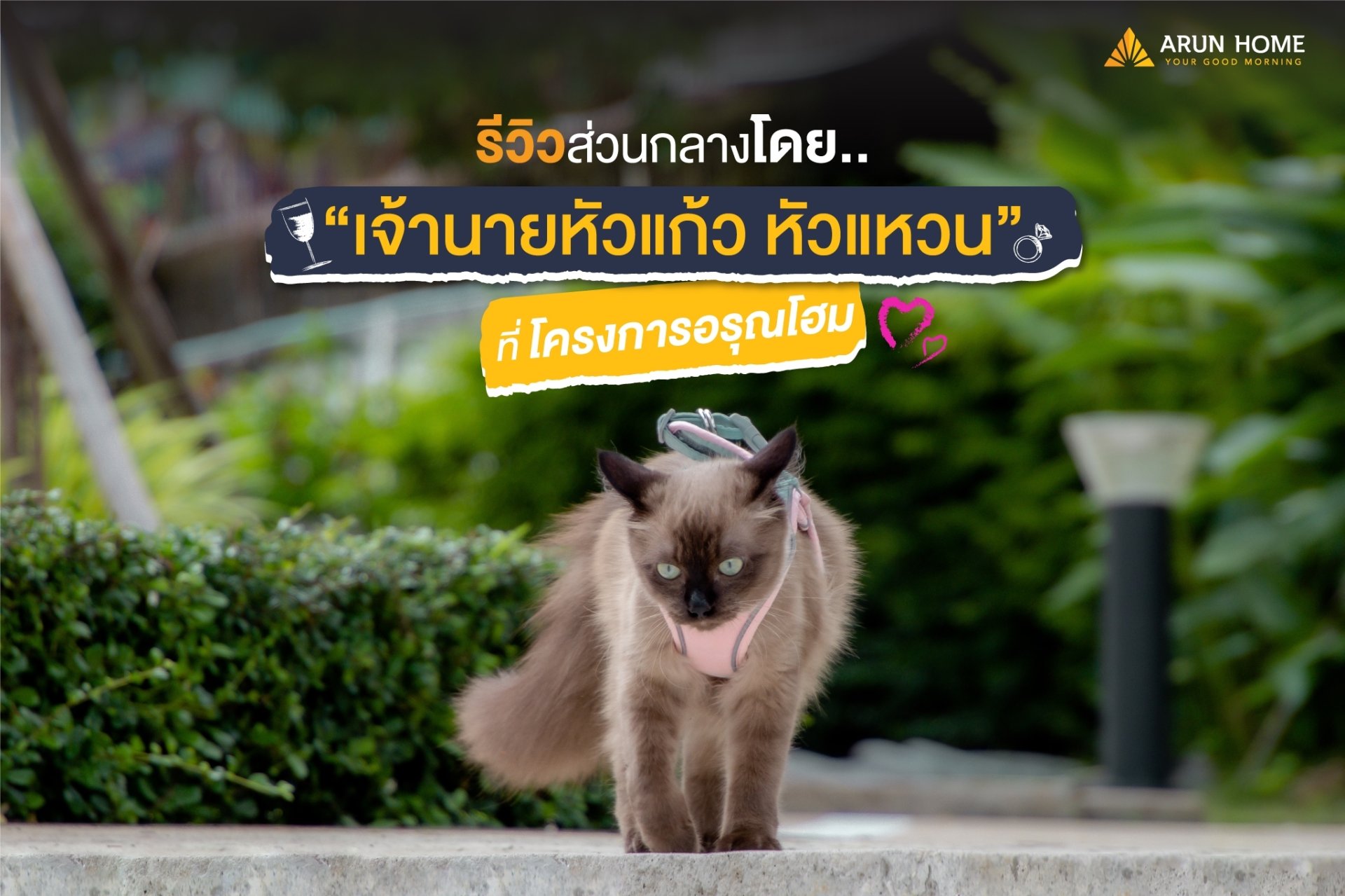 รีวิวส่วนกลางโดย "เจ้านายหัวแก้ว หัวแหวน" ที่โครงการบ้านอรุณโฮม #ส่วนกลางสไตล์รีสอร์ท Pet friendly zone ให้เจ้าเหมียวและทาส ได้ผ่อนคลาย มีพื้นที่วิ่งเล่นและใช้เวลาร่วมกันอย่างมีความสุข   รีวิวส่วนกลางโดย "เจ้านายหัวแก้ว หัวแหวน" ที่โครงการบ้านอรุณโฮม #ส่วนกลางสไตล์รีสอร์ท Pet friendly zone ให้เจ้าเหมียวและทาส ได้ผ่อนคลาย มีพื้นที่วิ่งเล่นและใช้เวลาร่วมกันอย่างมีความสุข