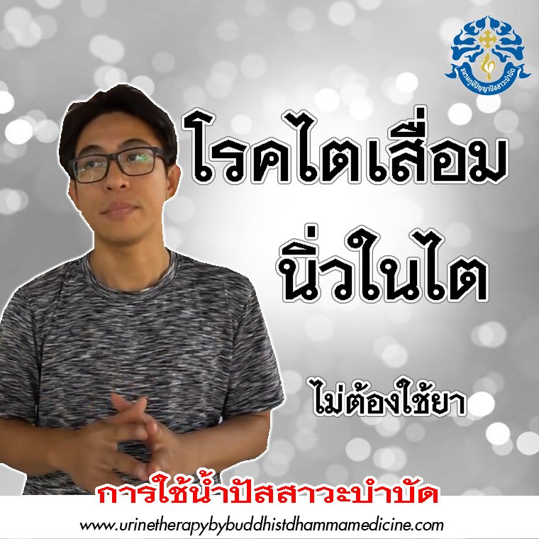 โรคไตเสื่อม นิ่วในไต ไม่ต้องใช้ยา โรคไตเสื่อม นิ่วในไต ไม่ต้องใช้ยา