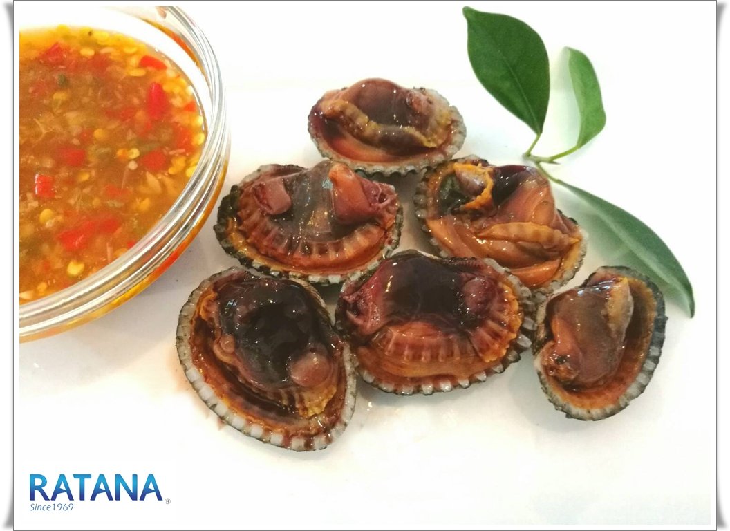 เทคนิคการลวกหอยแครงให้อร่อย เทคนิคการลวกหอยแครงให้อร่อย