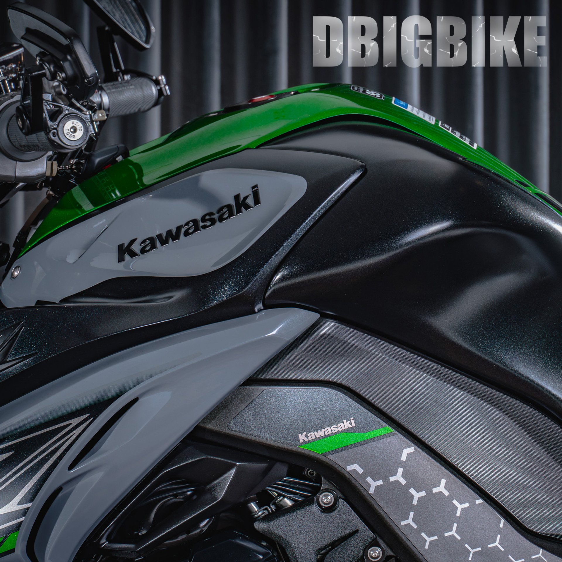 Kawasaki z1000 deals r edition 2019