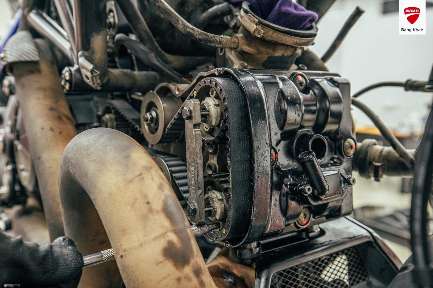 Desmo Engine Ducatis Desmo Service Its More Than Just a Belt Change!