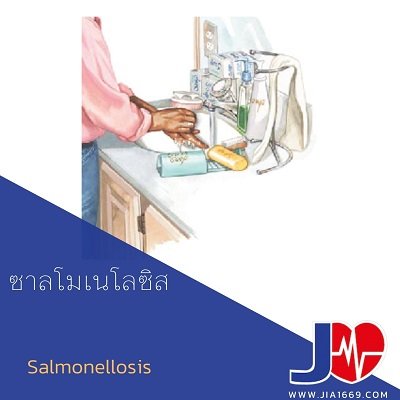 โรคซาลโมเนโลซิส salmonellosis