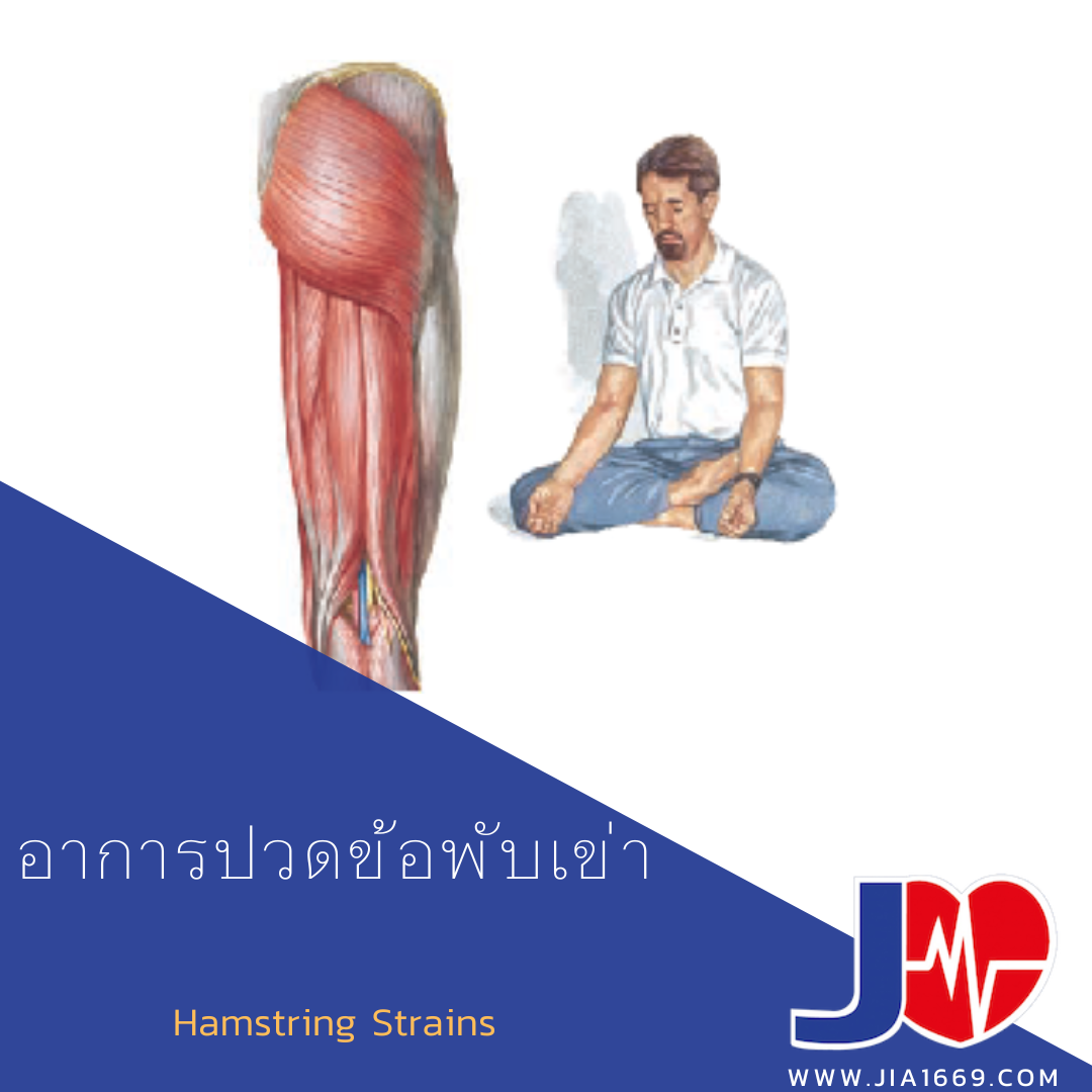 อาการปวดข้อพับเข่า อาการปวดข้อพับเข่า