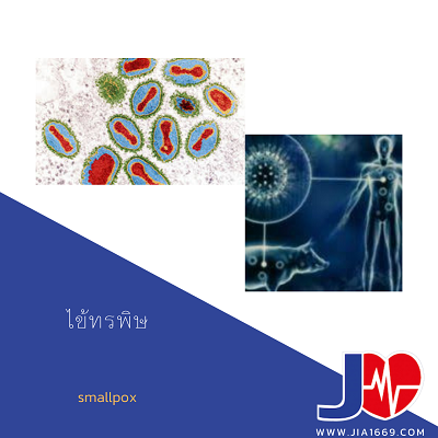 Smallpox Smallpox