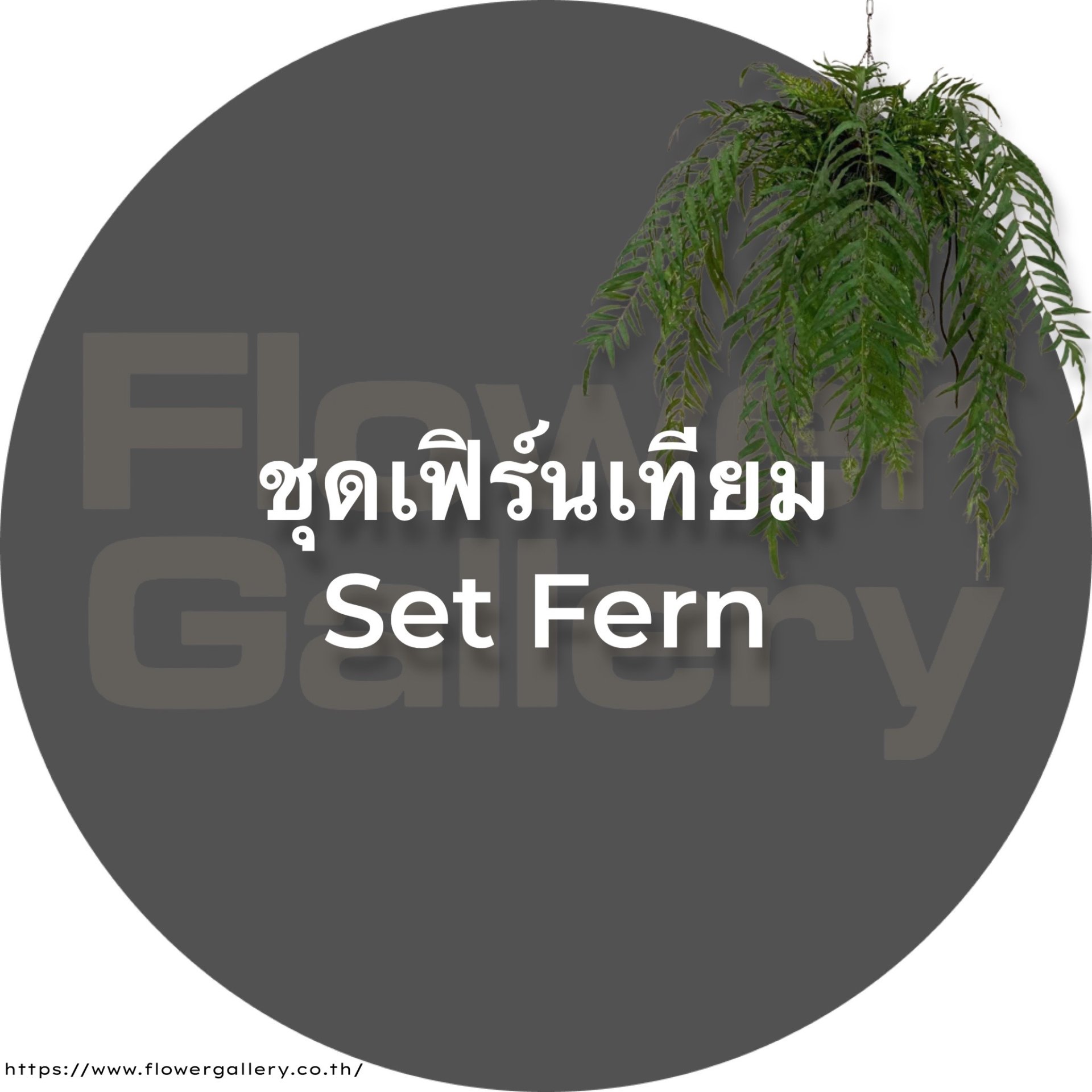 Artificial fern set, vertical garden