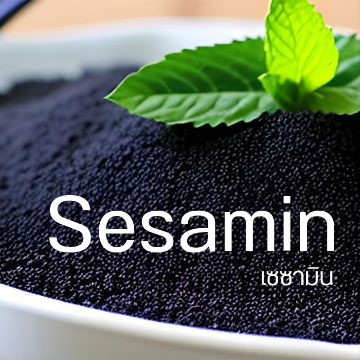 Sesaminคืออะไร