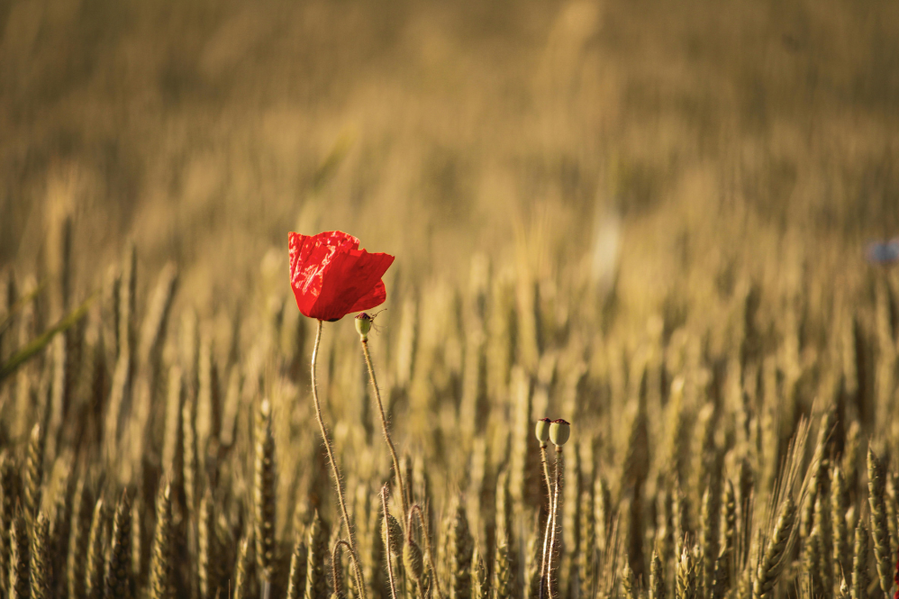 เป็นโสดก็สบายดี...แต่เรากำลังหนีความรักอยู่ไหม ?