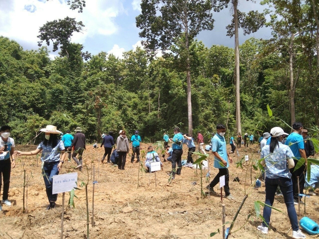 กิจกรรมปลูกป่าเฉลิมพระเกียรติสมเด็จพระนางเจ้าสิริกิติ์ กิจกรรมปลูกป่าเฉลิมพระเกียรติสมเด็จพระนางเจ้าสิริกิติ์
