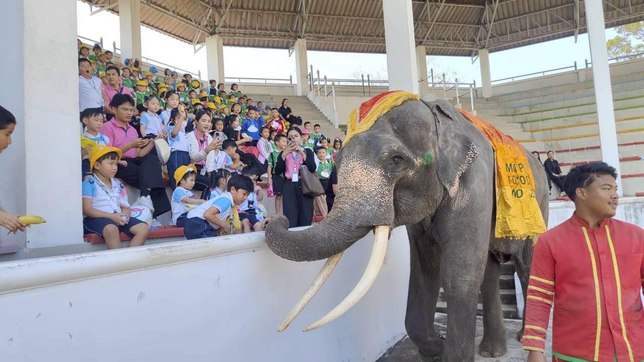 Field Trip to Crocodile Farm