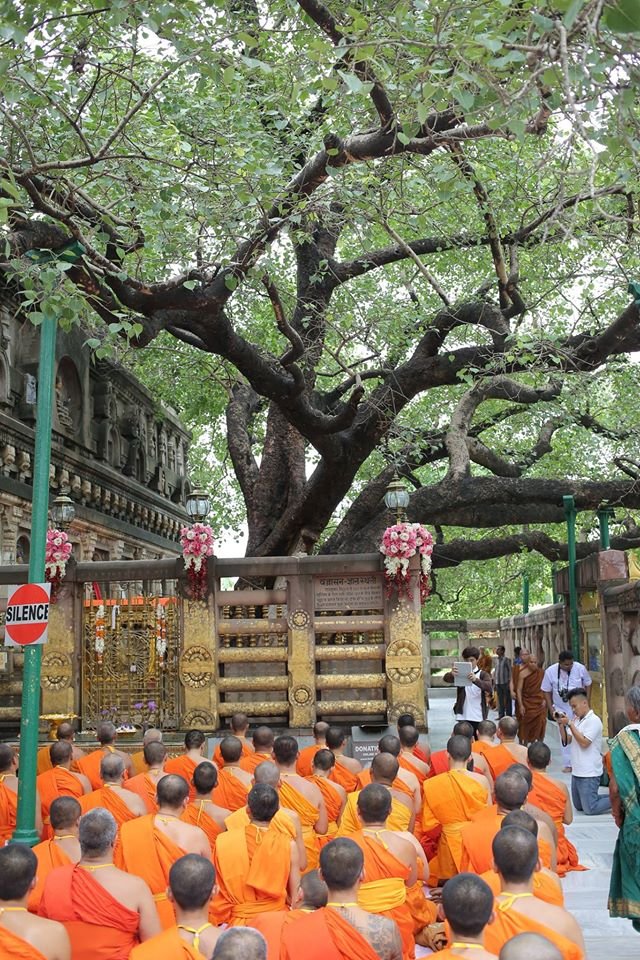 พระวิทยากรกระบวนธรรม จำนวน ๘๒ รูป เจริญพระพุทธมนต์ และเจริญจิตภาวนาใต้ต้นพระศรีมหาโพธิ์ สถานที่ตรัสรู้ขององค์สมเด็จพระสัมมาสัมพุทธเจ้า