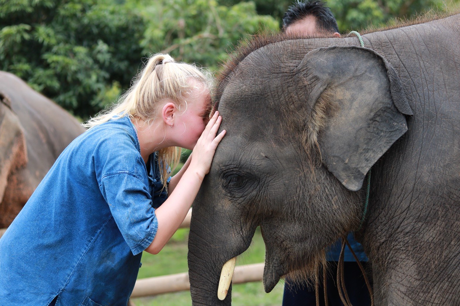 Full Day visit and Support at Eco Elephant Care Full Day visit and Support at Eco Elephant Care