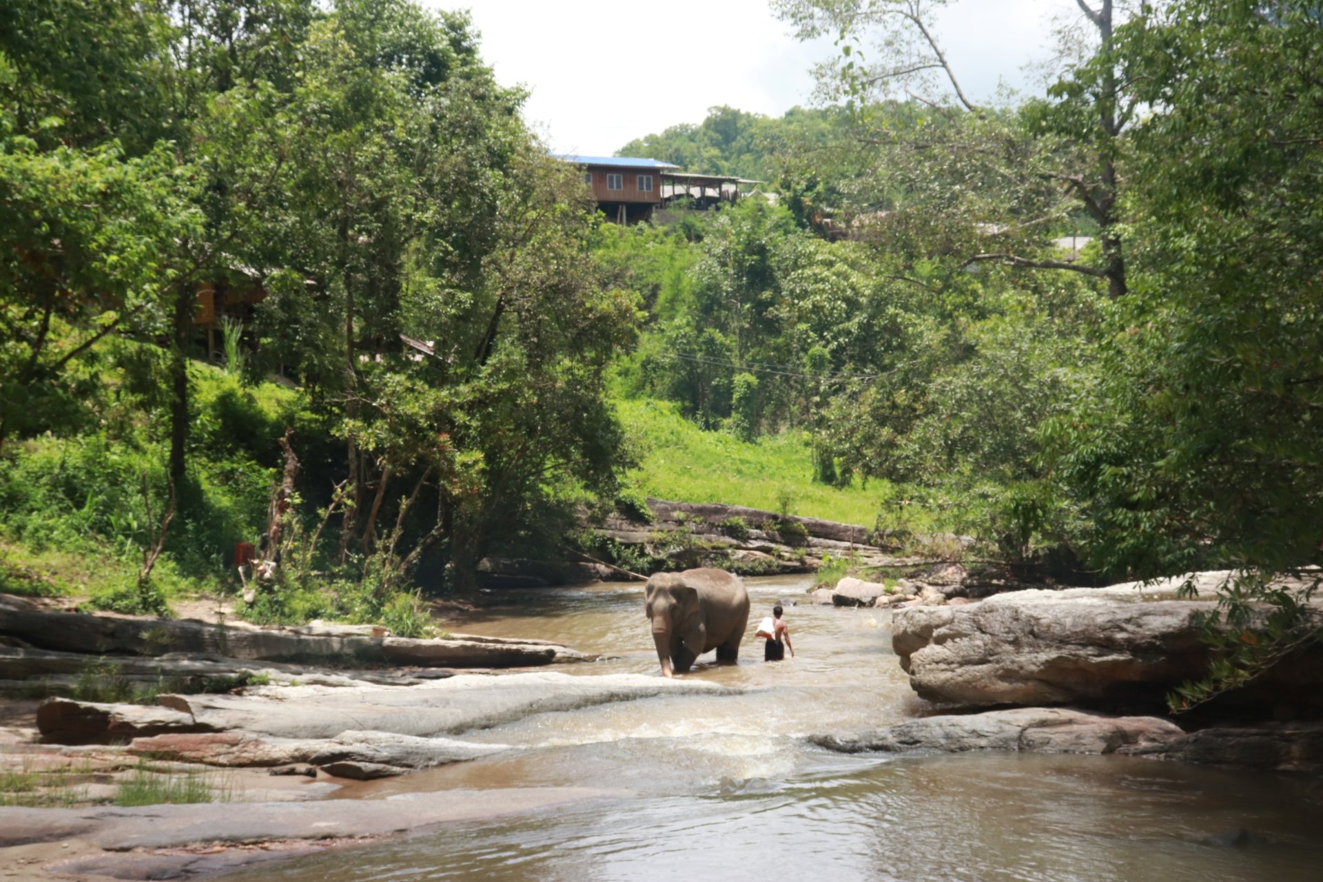 One Day Experience Trek Sanpatong (Mae Win area) One Day Experience Trek Sanpatong (Mae Win area)