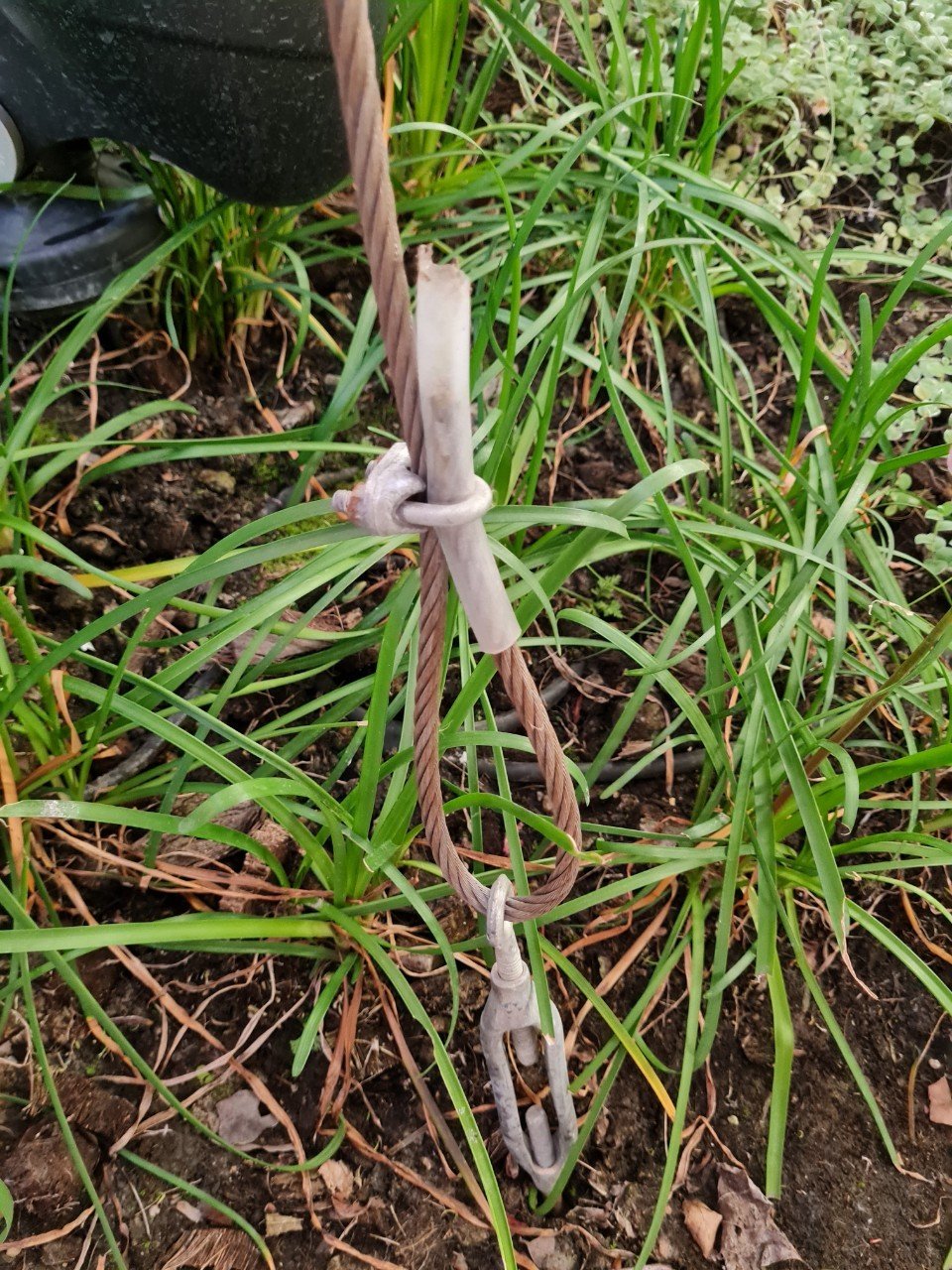 สลิงและอุปกรณ์ที่ใช้ยึดรั้งต้นไม้ สลิงและอุปกรณ์ที่ใช้ยึดรั้งต้นไม้