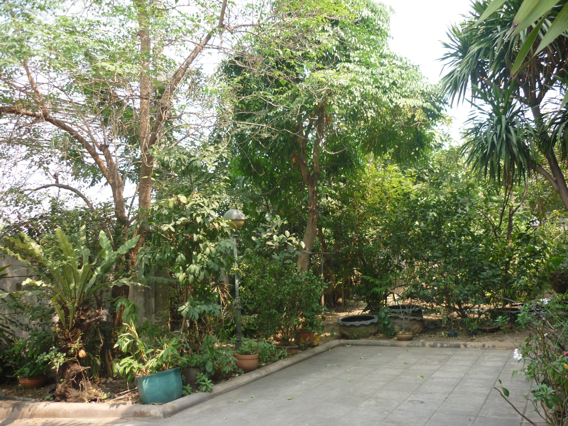 โครงการบ้านที่ตั้งอยู่ ถ.สวนผัก โครงการบ้านที่ตั้งอยู่ ถ.สวนผัก