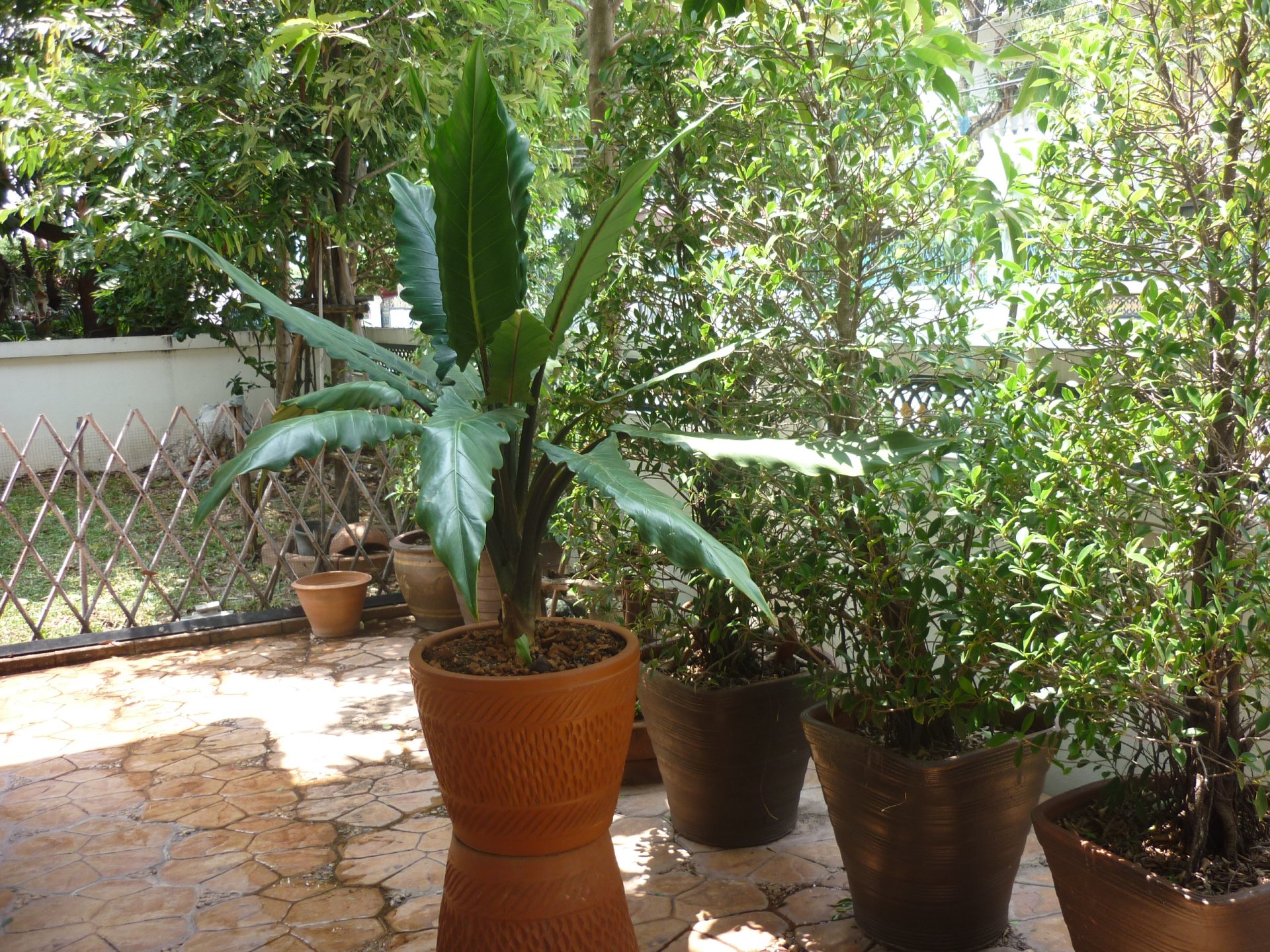 โครงการหมู่บ้าน ยัวร์เฮ้าส์ - บางกรวย โครงการหมู่บ้าน ยัวร์เฮ้าส์ - บางกรวย