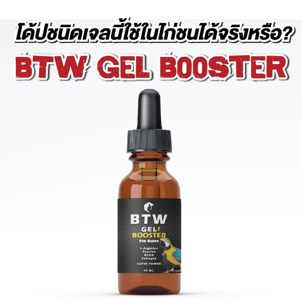 โด้ปชนิดเจลนี้ใช้ในไก่ชนได้จริงหรือ? ด้วย “BTW Gel Booster for Birds” โดย ผศ.น.สพ.ดร.สมโภชน์ วีระกุล