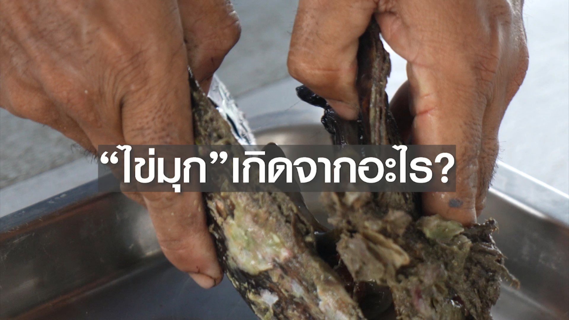 ไข่มุกเกิดจากอะไร??? 