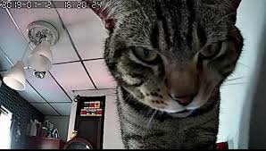 ประโยชน์ของกล้องวงจรปิด-กล้องวงจรปิดเชียงใหม่ ประโยชน์ของกล้องวงจรปิด-กล้องวงจรปิดเชียงใหม่