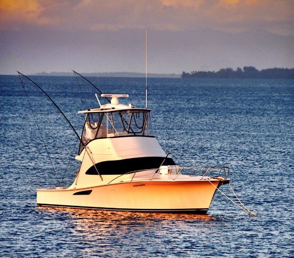 Blue marlin, beer horns and Yanmar 6CXBM-GT engines! Blue marlin, beer horns and Yanmar 6CXBM-GT engines!