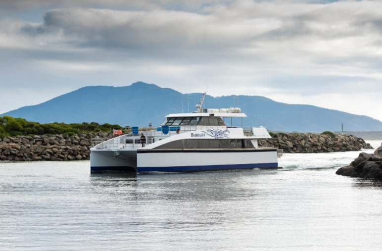 Yanmar กับ Bubbles Yanmar กับ Bubbles