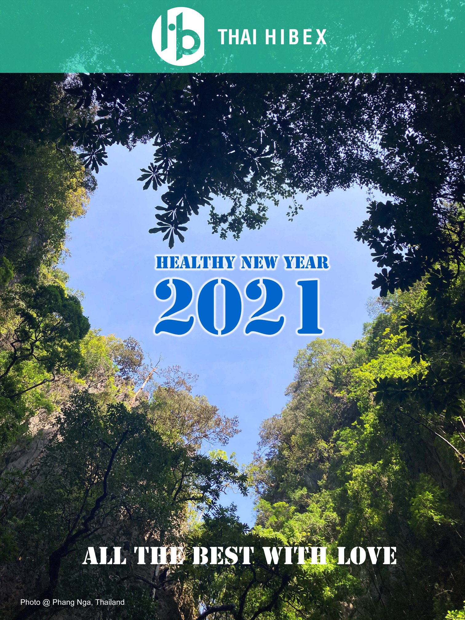Wishing you a safe and healthy new year 2021