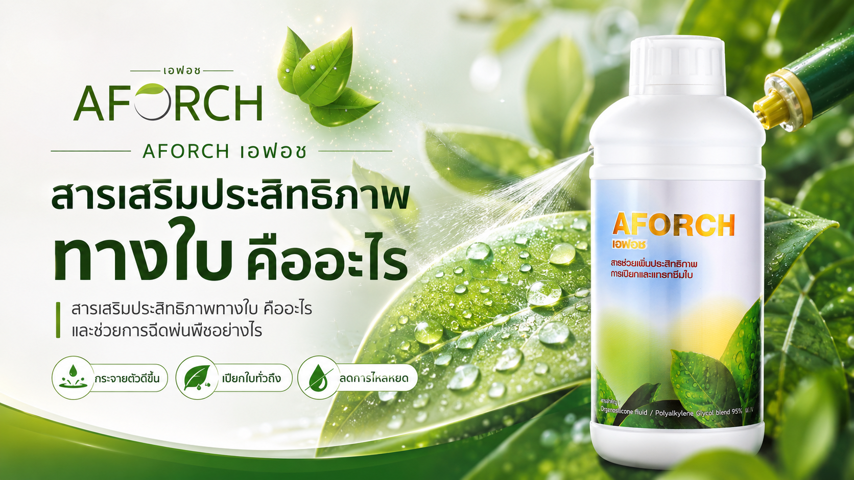 AFORCH เอฟอช สารเสริมประสิทธิภาพทางใบ ช่วยให้สารฉีดพ่นกระจายตัว เปียกใบ และลดการไหลหยด
