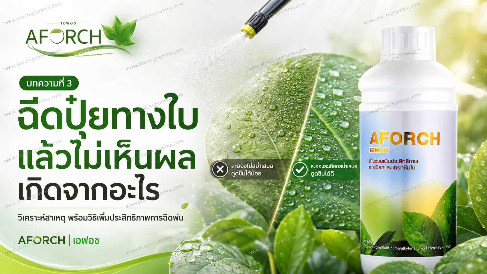 ฉีดปุ๋ยทางใบแล้วไม่เห็นผล เกิดจากอะไร AFORCH เอฟอช ช่วยให้สารฉีดพ่นกระจายตัว เปียกใบ และลดการไหลหยด