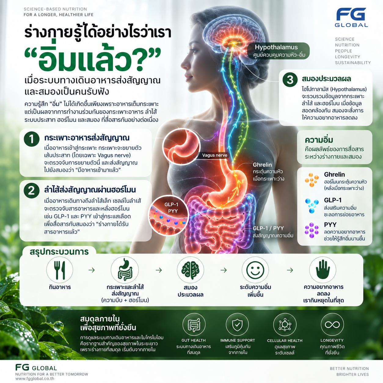 ร่างกายรู้ได้อย่างไรว่าเรา อิ่มแล้ว?