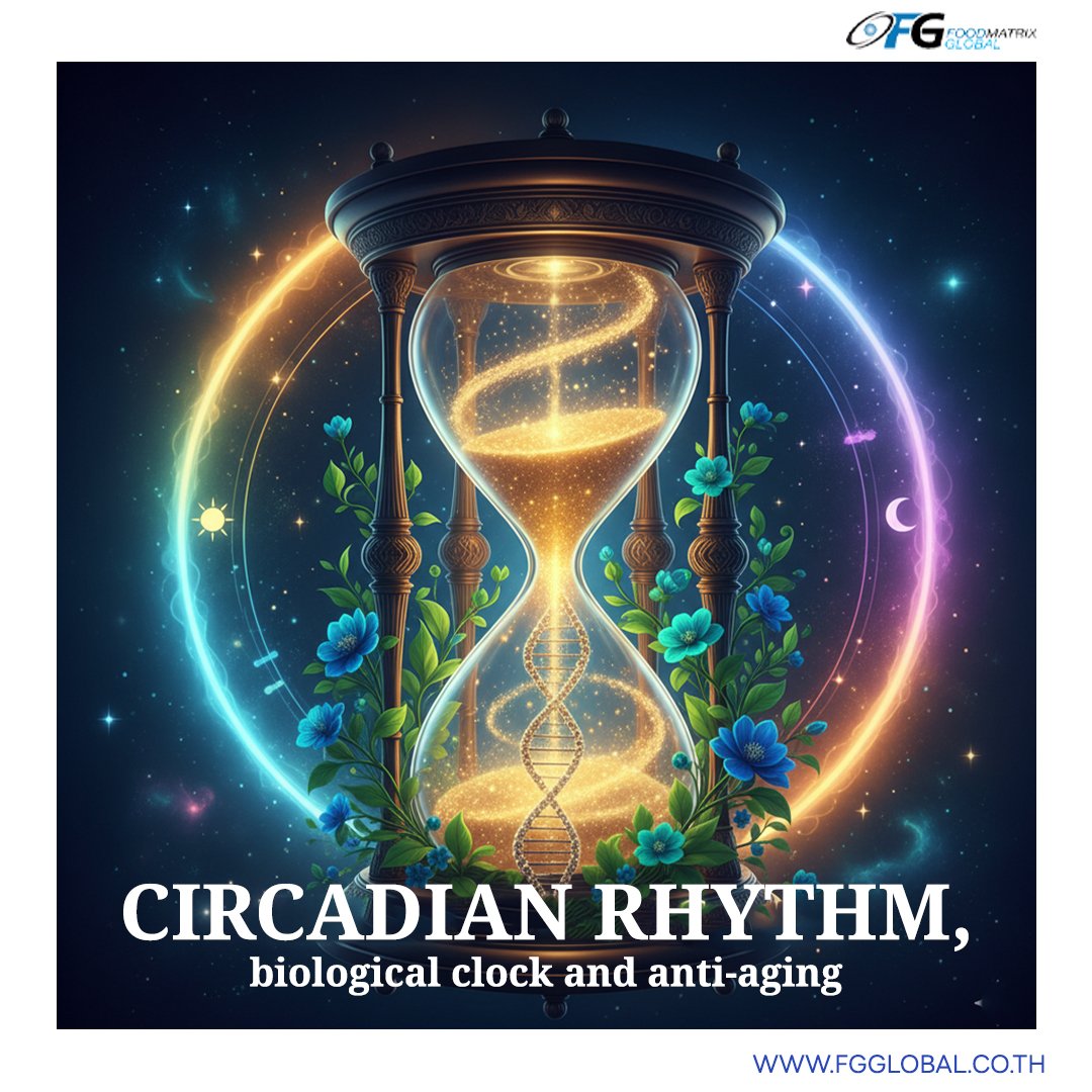 Circadian rhythm, biological clock and anti-aging