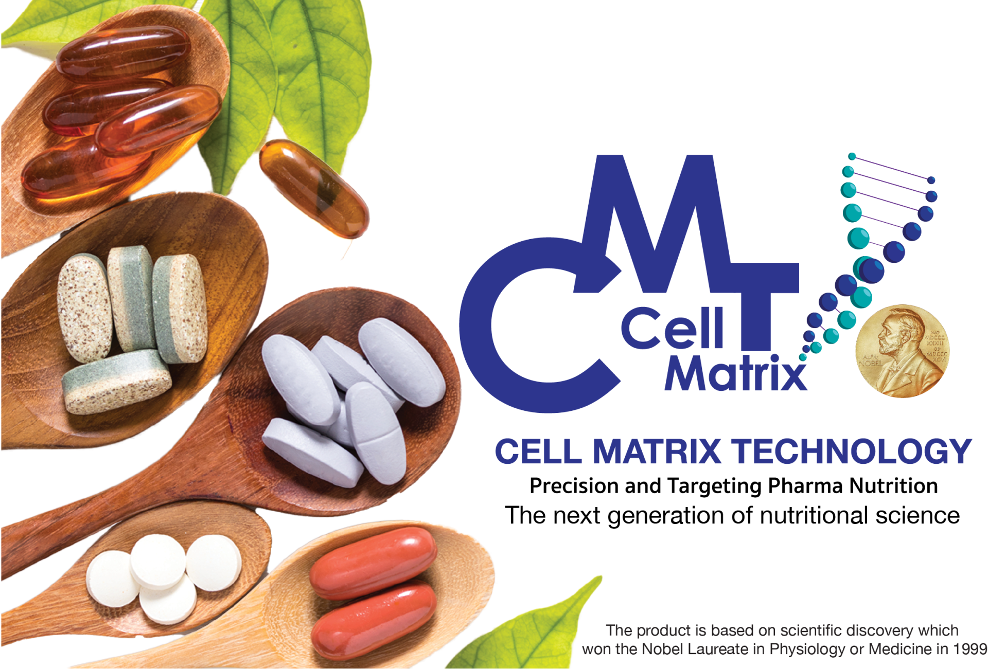 Introduction "CELL MATRIX" Technology