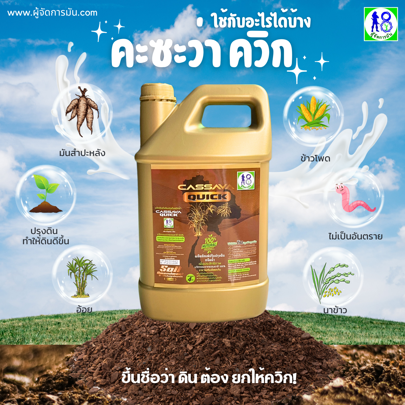 Cassava Quick คืออะไร Cassava Quick คืออะไร