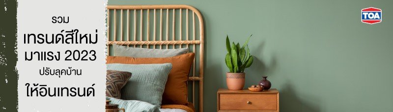 TOA เทนด์สี TOA เทนด์สี