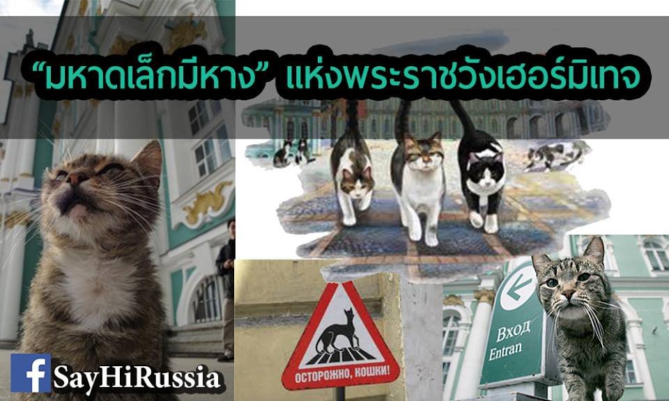 «มหาดเล็กมีหาง» แห่งพระราชวังเฮอร์มิเทจ  «มหาดเล็กมีหาง» แห่งพระราชวังเฮอร์มิเทจ