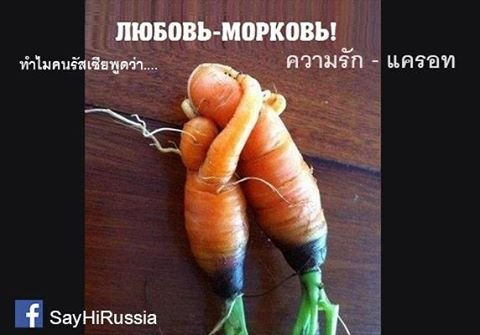 ทำไมต้อง "ความรัก-แครอท"??? ทำไมต้อง "ความรัก-แครอท"???
