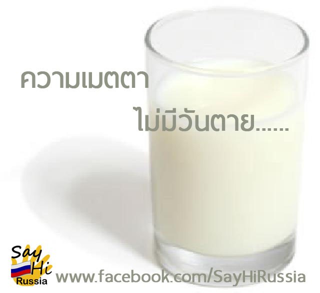 ความเมตตาไม่เคยตาย..... ความเมตตาไม่เคยตาย.....