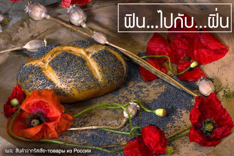 เมล็็ดฝิ่นสำหรับเบเกอรี่ เมล็ดฝิ่น