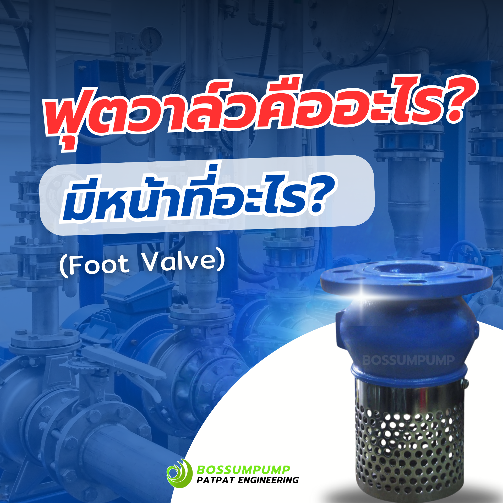 ฟุตวาล์ว (Foot Valve) คืออะไร มีหน้าที่อะไร ฟุตวาล์ว (Foot Valve) คืออะไร มีหน้าที่อะไร