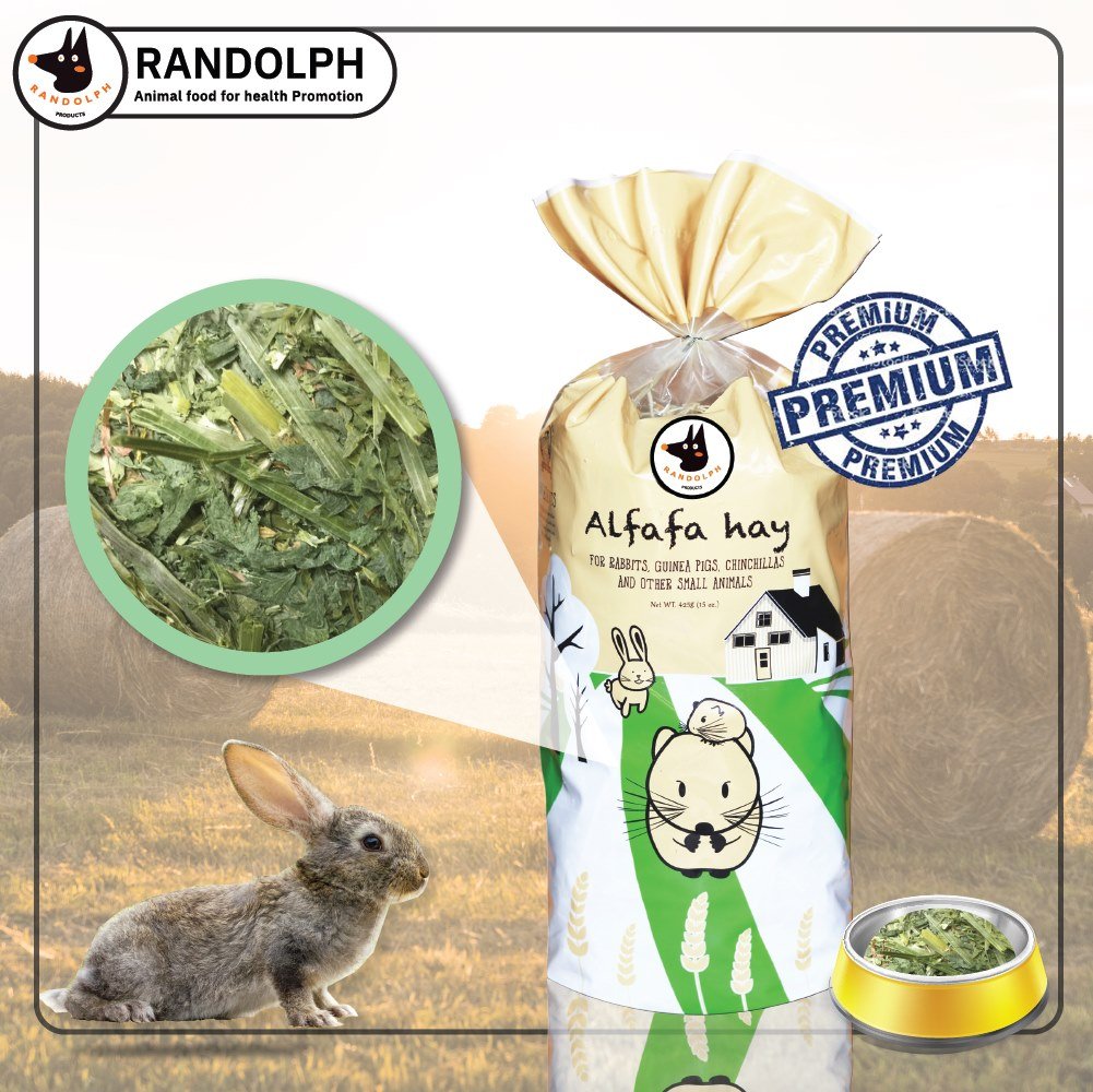RANDOLPH หญ้าอัลฟัลฟ่าพรีเมี่ยม 425 กรัม RANDOLPH หญ้าอัลฟัลฟ่าพรีเมี่ยม 425 กรัม