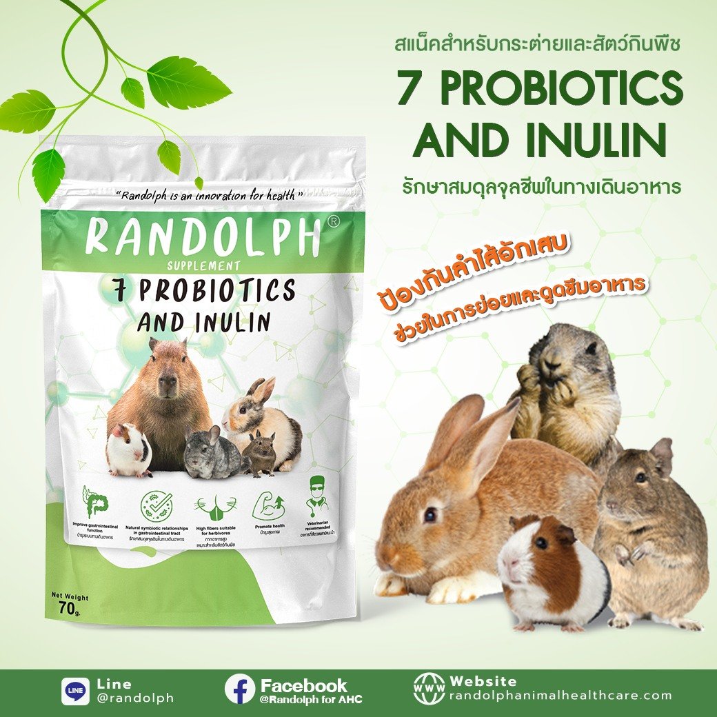 แรนดอล์ฟซัพพลีเม้นท์ 7 PROBIOTICS AND INULIN สแน็คสำหรับกระต่าย และสัตว์กินพืชขนาดเล็กทุกชนิด แรนดอล์ฟซัพพลีเม้นท์ 7 PROBIOTICS AND INULIN สแน็คสำหรับกระต่าย และสัตว์กินพืชขนาดเล็กทุกชนิด