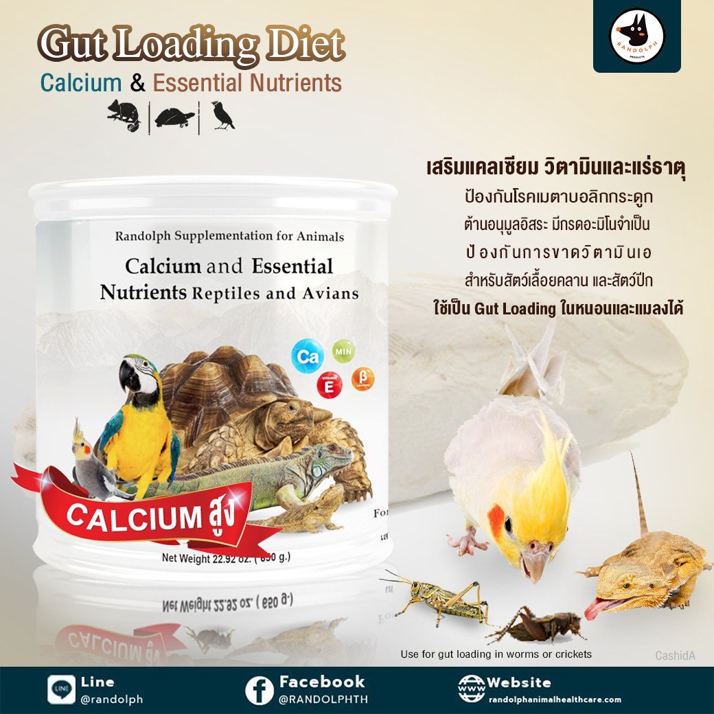 Calcium and Essential Nutrients for Reptiles and Evians อาหารเสริมแคลเซียม และโภชนาการให้สมบูรณ์ยิ่งขึ้น Calcium and Essential Nutrients for Reptiles and Evians อาหารเสริมแคลเซียม และโภชนาการให้สมบูรณ์ยิ่งขึ้น