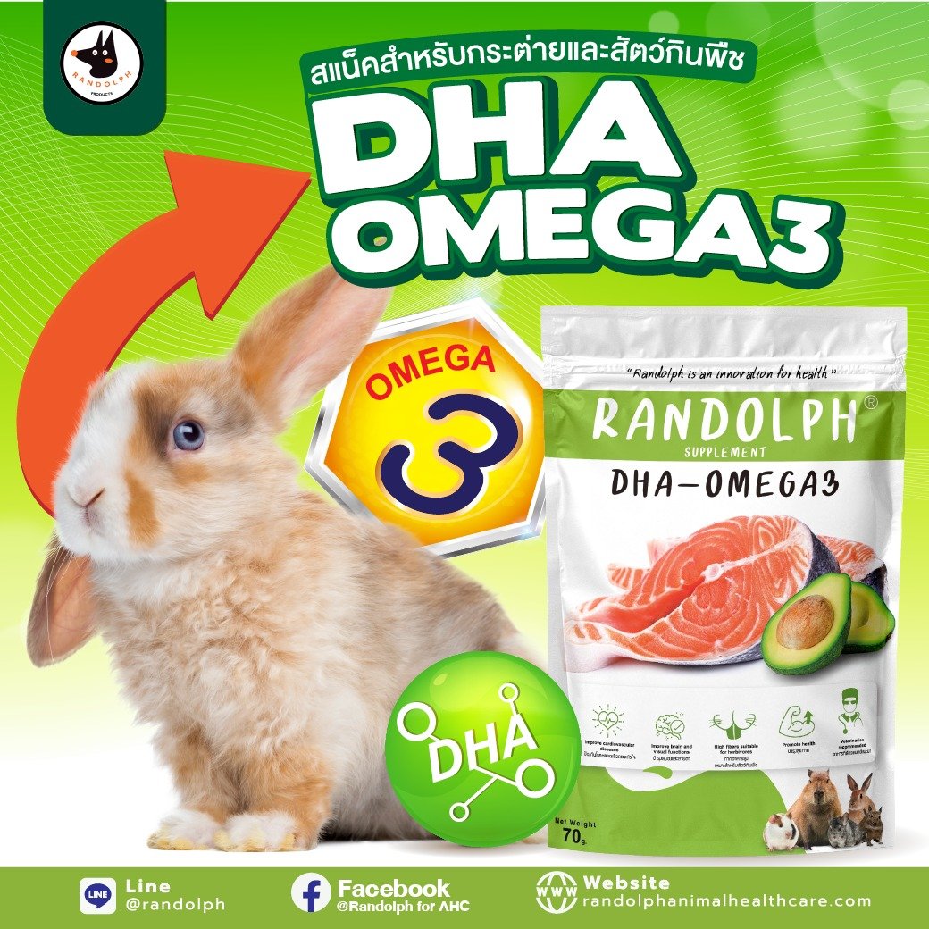 แรนดอล์ฟซัพพลีเม้นท์ DHA - OMEGA 3 สแน็คสำหรับกระต่าย และสัตว์กินพืชขนาดเล็กทุกชนิด