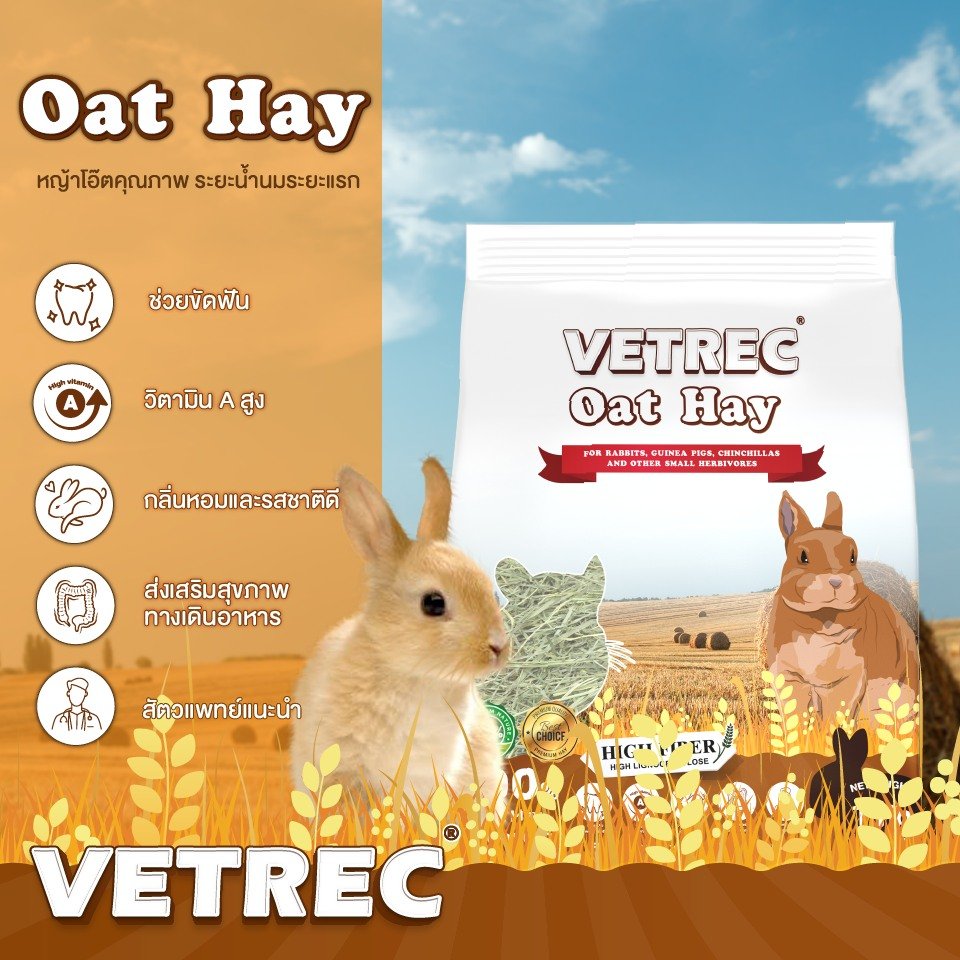 Vetrec Oat Hay คุณภาพของหญ้าโอ๊ตที่ดีที่สุด จากออสเตรเลีย 
