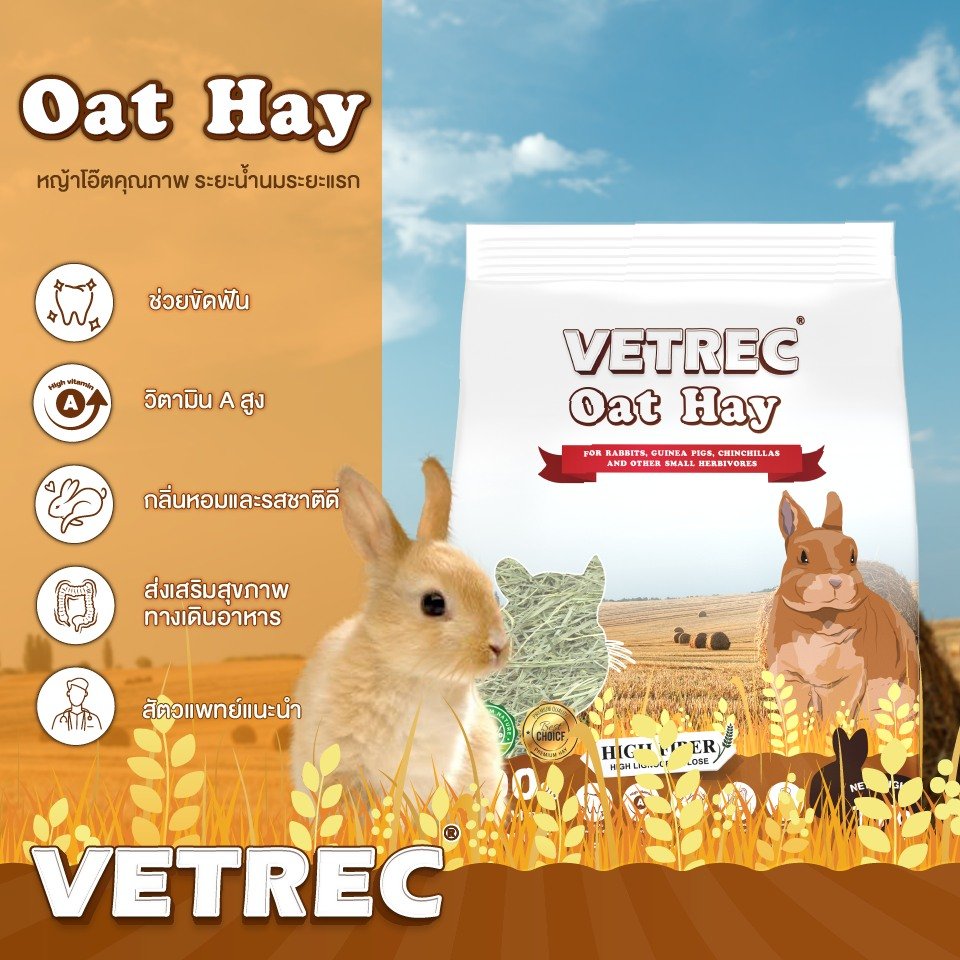 Vetrec Oat Hay คุณภาพของหญ้าโอ๊ตที่ดีที่สุด จากออสเตรเลีย  Vetrec Oat Hay คุณภาพของหญ้าโอ๊ตที่ดีที่สุด จากออสเตรเลีย