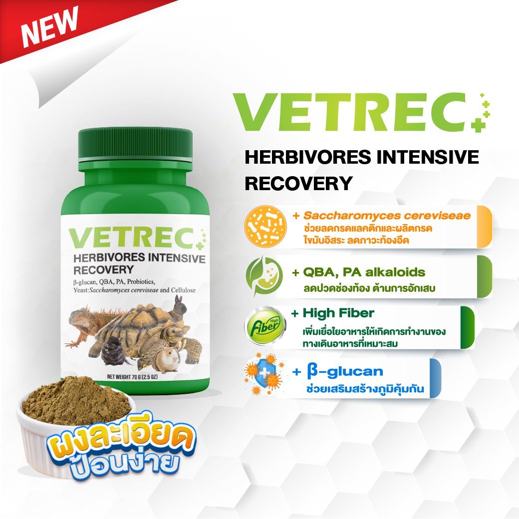Vetrec Herbivores Intensive Recovery อาหารฟื้นฟูสำหรับกระต่ายและสัตว์กินพืช  Vetrec Herbivores Intensive Recovery อาหารฟื้นฟูสำหรับกระต่ายและสัตว์กินพืช