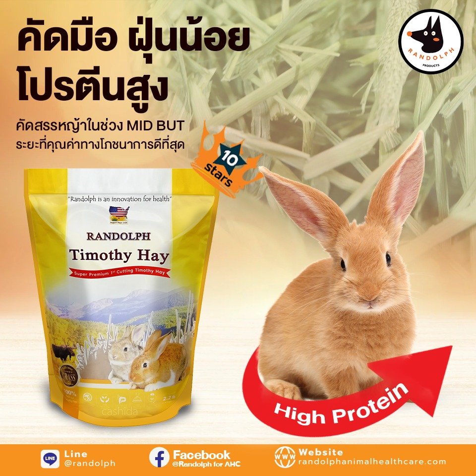 Randolph-Timothy Super Premium 1st cut คัดมือ ฝุ่นน้อย Randolph-Timothy Super Premium 1st cut คัดมือ ฝุ่นน้อย