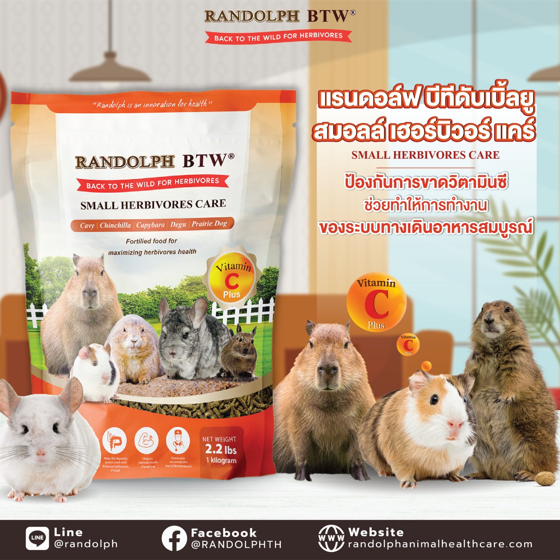 แรนดอล์ฟ บีทีดับเบิ้ลยู สมอลล์ เฮอร์บิวอร์ แคร์ VITAMIN C PLUS แรนดอล์ฟ บีทีดับเบิ้ลยู สมอลล์ เฮอร์บิวอร์ แคร์ VITAMIN C PLUS