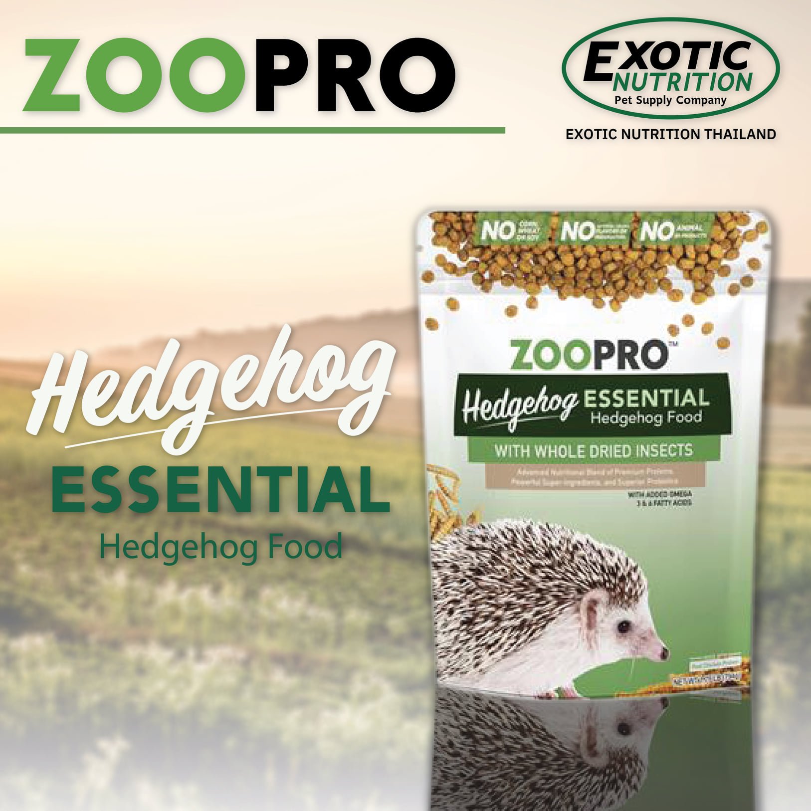 แรนดอล์ฟ-Exotic Nutrition ZooPro Hedgehog Essential อาหารเม็ดเม่นแคระ  แรนดอล์ฟ-Exotic Nutrition ZooPro Hedgehog Essential อาหารเม็ดเม่นแคระ